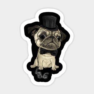 Pug; Gentle Pug Sticker